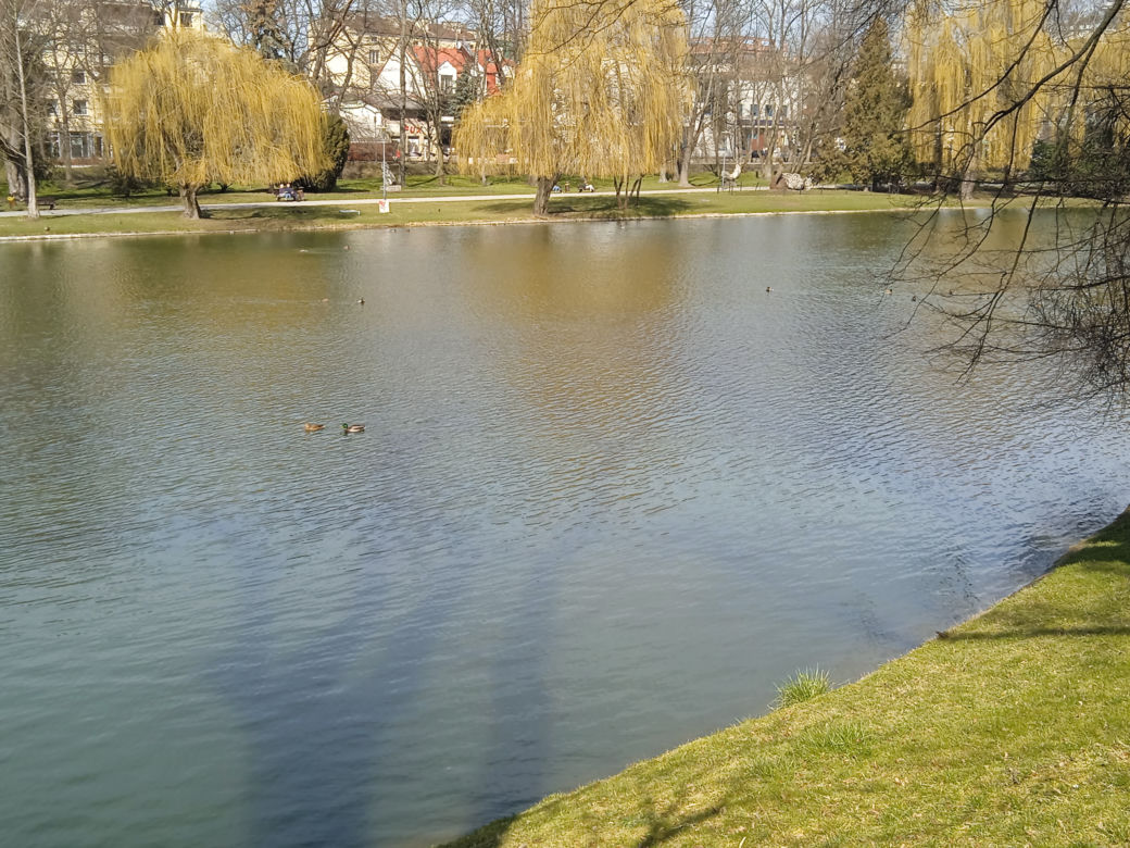 Wiosna w Kielcach. Coraz więcej zieleni i spacerowiczów w parku miejskim