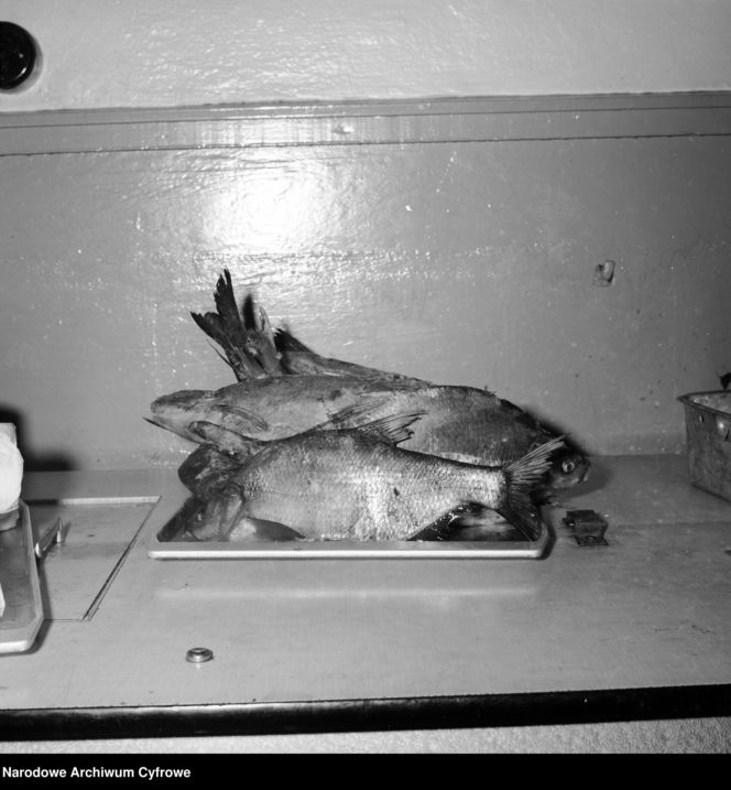 QUIZ PRL. Świąteczna gorączka w PRL