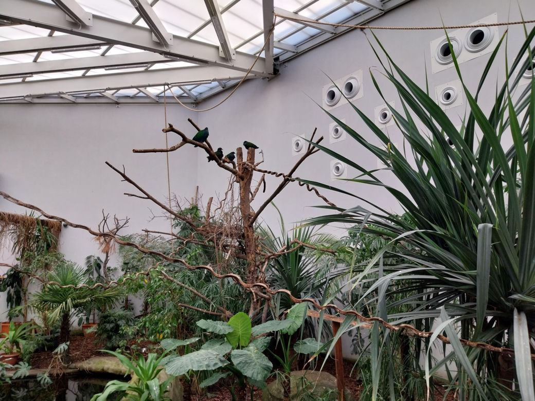 Wiosenny spacer w zamojskim zoo