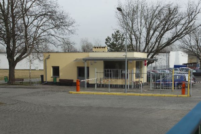 Trynkiewicz na wolnosci (5)
