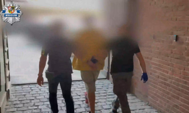 Horror na Dolnym Śląsku. 19-latek podejrzany o przestępstwa seksualne wobec dzieci