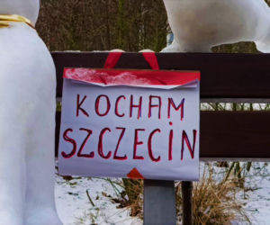 Rzeźby ze śniegu na pętli Głębokie