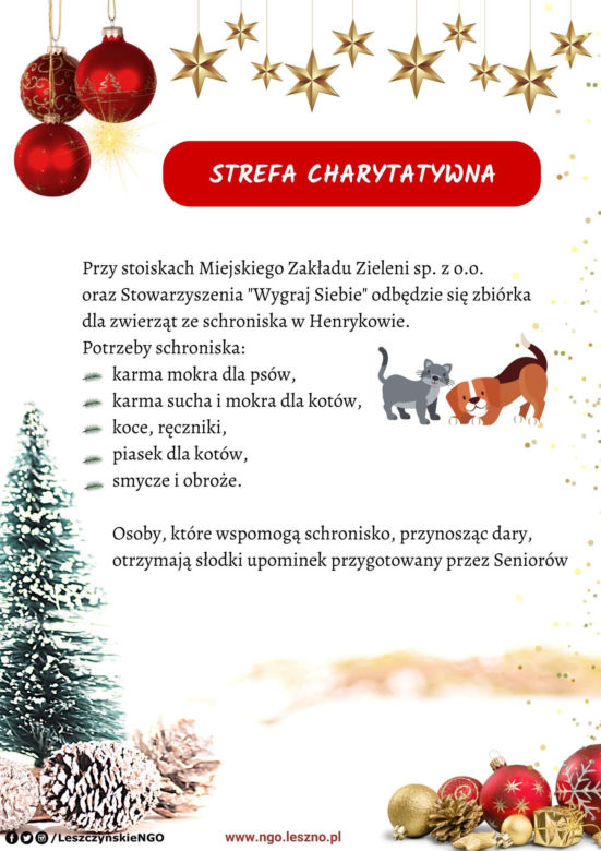 W niedzielę Ekstremalne Mikołajki z NGO. Na Rynku w Lesznie będzie dużo się działo