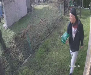Gliwice: Okradł altankę działkową. Został nagrany jak ucieka z czteropakiem piwa. Rozpoznajesz go? [ZDJĘCIA]