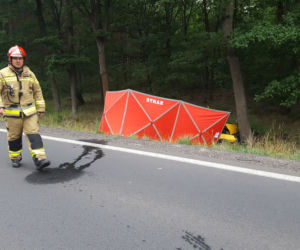 Śmiertelny wypadek na drodze Leszno-Osieczna. Nie żyją dwie osoby 