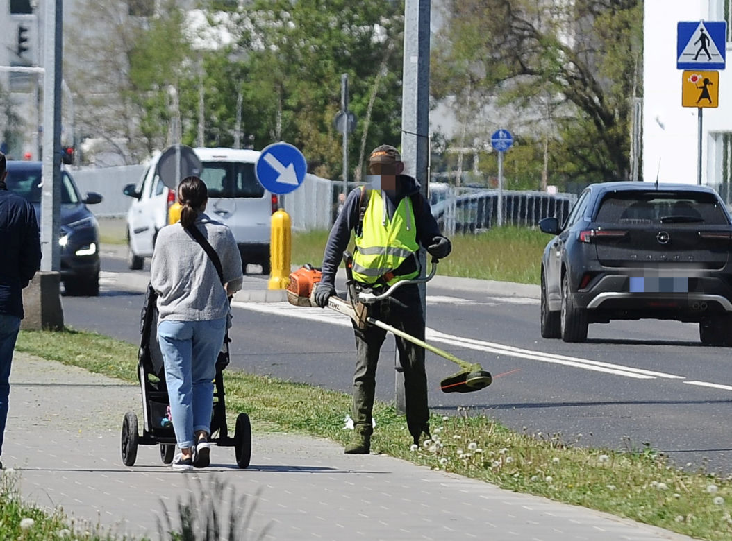 Warszawa wraca do koszenia trawników. Wielka akcja w Warszawie