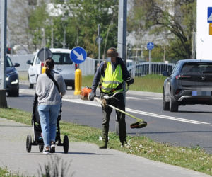 Warszawa wraca do koszenia trawników. Wielka akcja w Warszawie