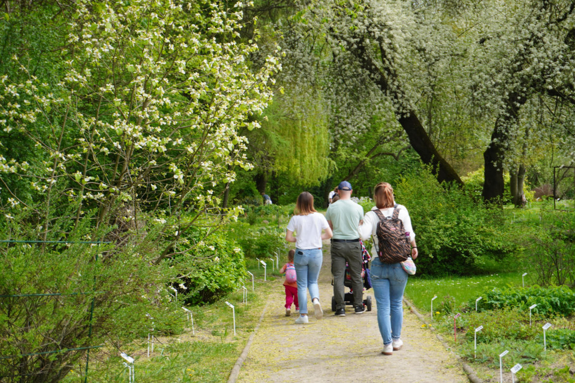 Ogród Botaniczny w Lublinie