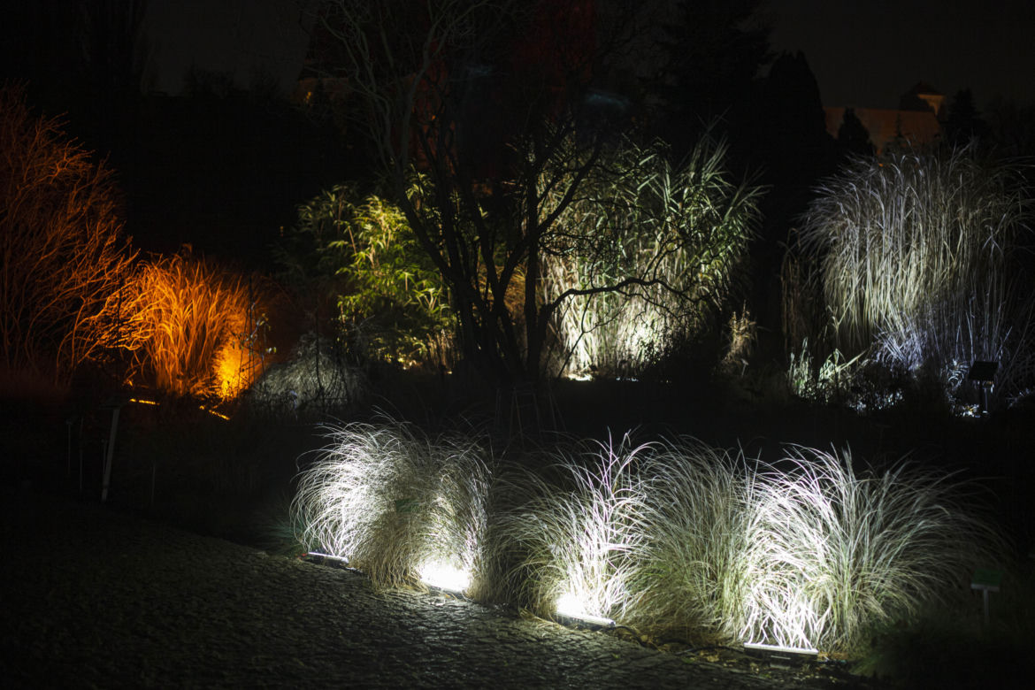 Lasery, muzyka i kolorowe iluminacje w Ogrodzie Botanicznym we Wrocławiu