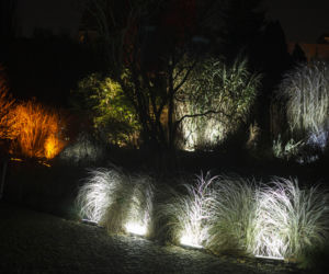 Lasery, muzyka i kolorowe iluminacje w Ogrodzie Botanicznym we Wrocławiu