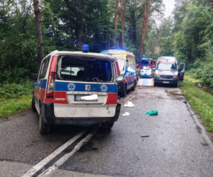 Groźny wypadek na leśnym odcinku drogi. Karetka rozbiła się między Stykowem a Kałkowem