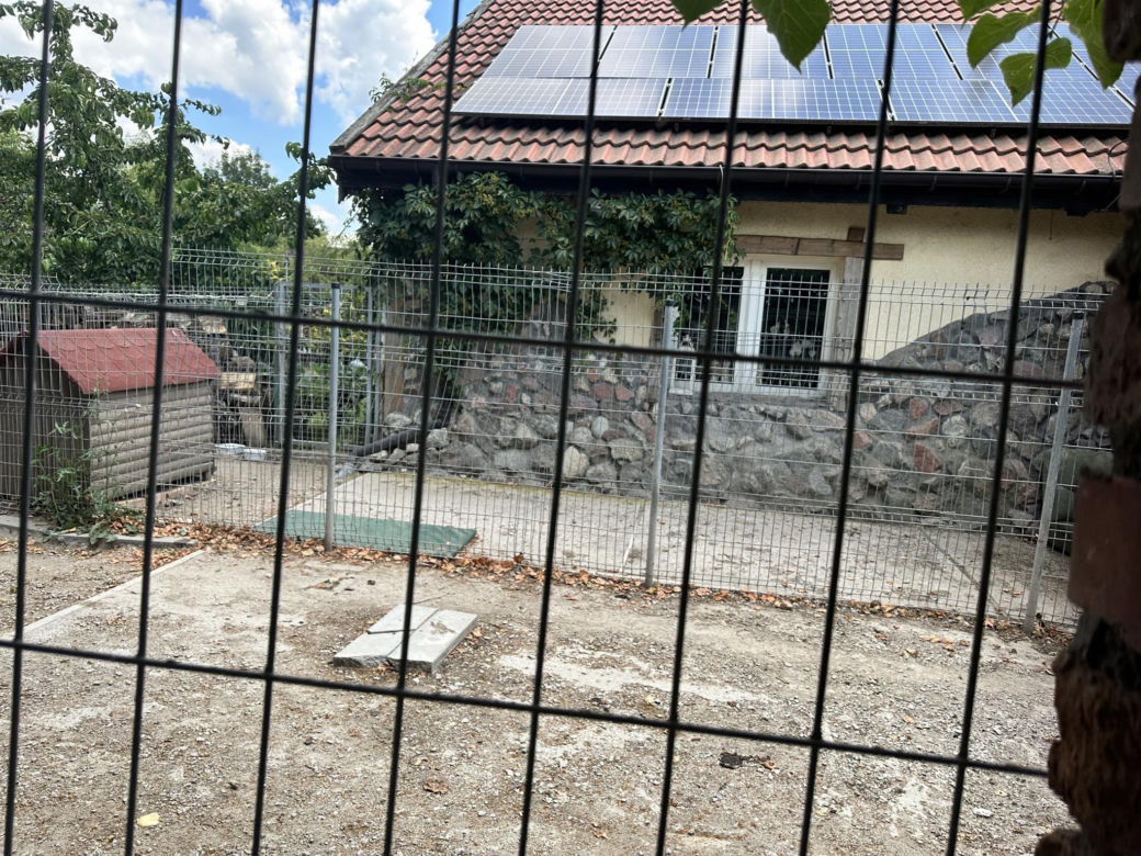 W tym miejscu psy rozszarpały 7-letnią Natalkę