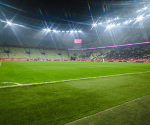 Polska - Słowenia: Najwierniejsi kibice wspierali reprezentację Polski kobiet. Dużo zdjęć z Gdańska