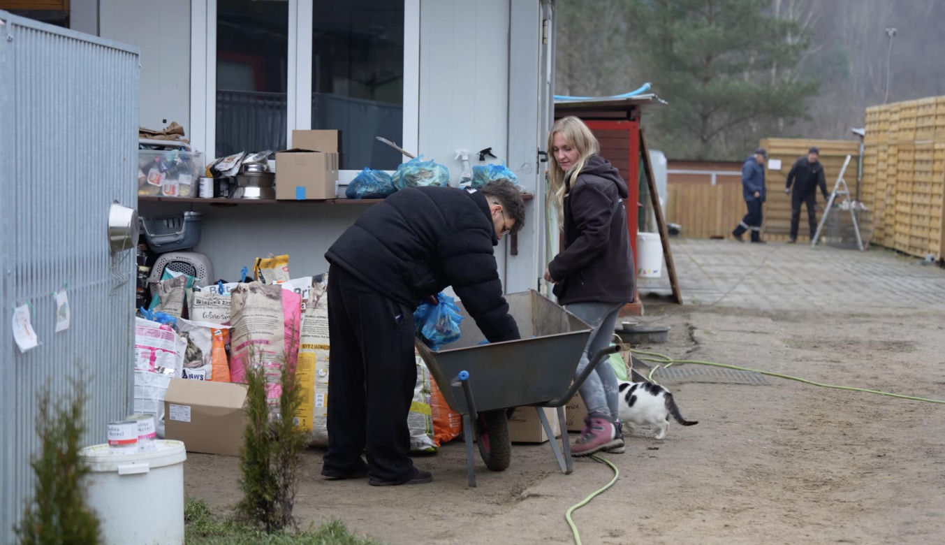 Jawor wykupił cały sklep zoologiczny