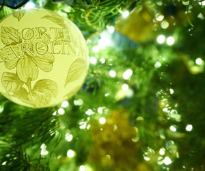 Melania Trump udekorowała Biały Dom. Święta lepsze niż za Bidena?