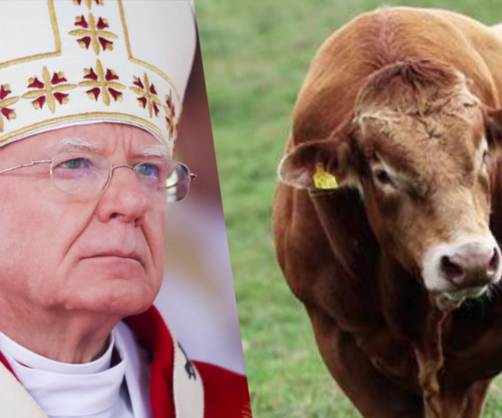 Abp Jędraszewski ostrzega przed ideologią singli. Wróci bykowe? 