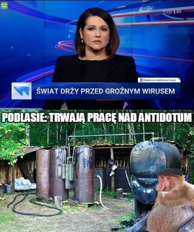 Memy o koronawirusie 2020