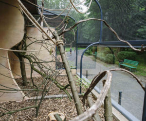 Papugi z łódzkiego zoo mają nową, przestronną i oszkloną wolierę
