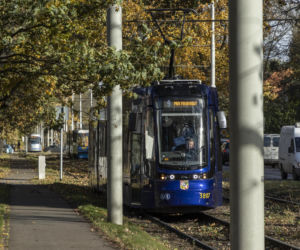 Wichura Wrocław drzewo tramwaj   