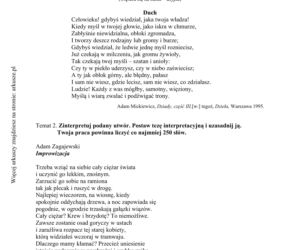 Matura poprawkowa język polski 2015 sierpień (poziom podstawowy)