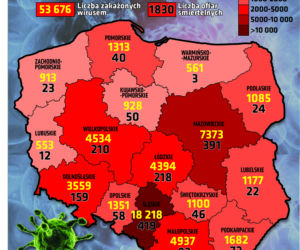 Koronawirus w Polsce. Statystyki, wykresy, grafiki (12 sierpnia)