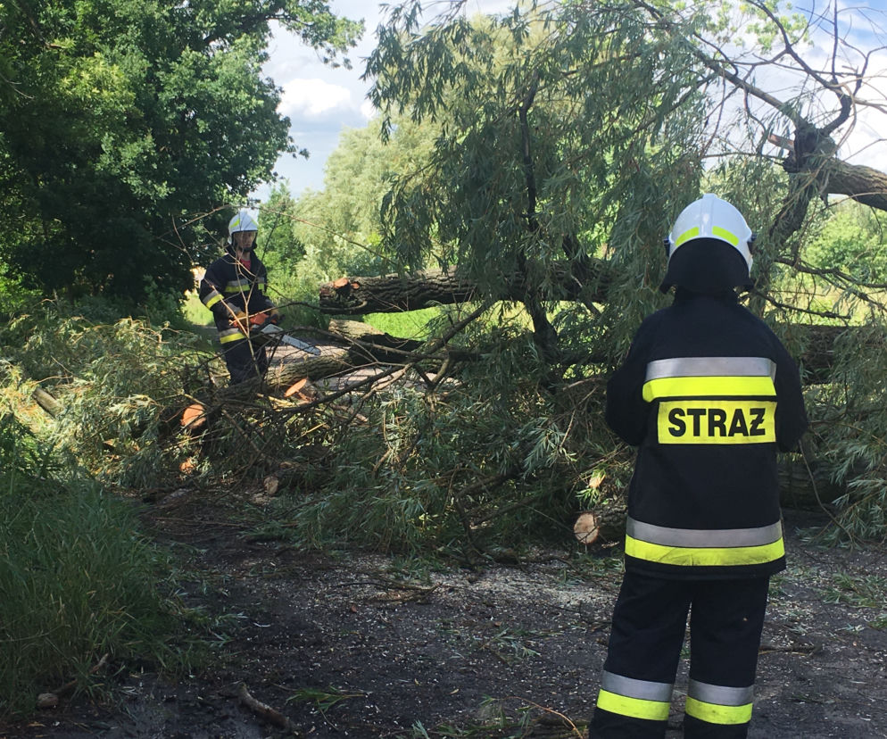 Strażacy interweniowali około 40 razy