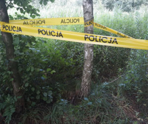 Tarnów. Pocisk przeciwlotniczy znaleziony podczas spaceru na ulicy Trzcinowej