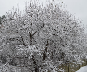 Zima Starachowice 29.11.2020