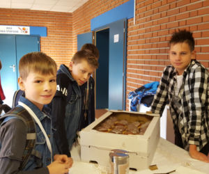 Małe, sprężyste, nadziewane i lukrowane. Trwa charytatywna akcja Pączki do rączki