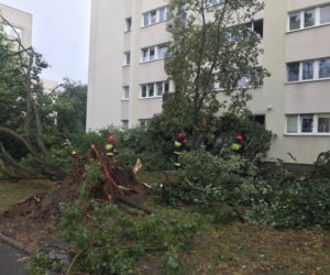 Bielany zniszczone przez burzę