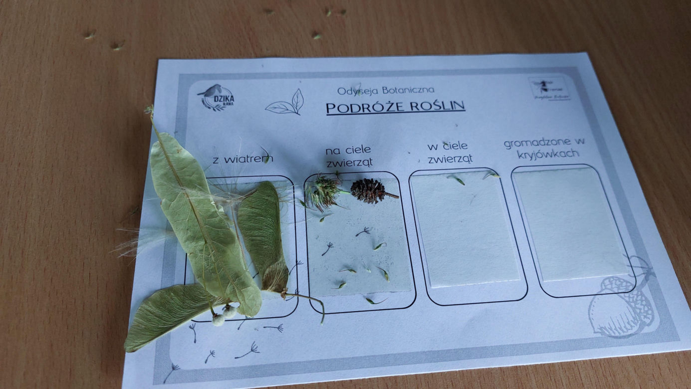 Odyseja botaniczna