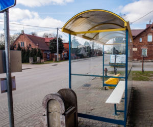 Pszczółki