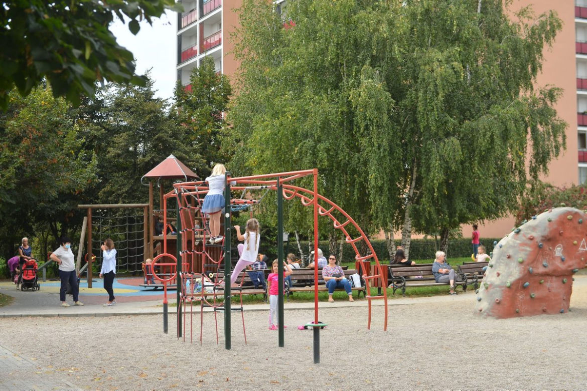 Szczury opanowały Gocław