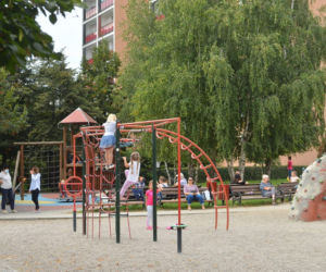 Szczury opanowały Gocław