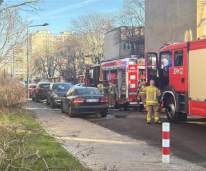 Pożar mieszkania na parterze. Strażacy z ognia wynieśli przerażonego kota
