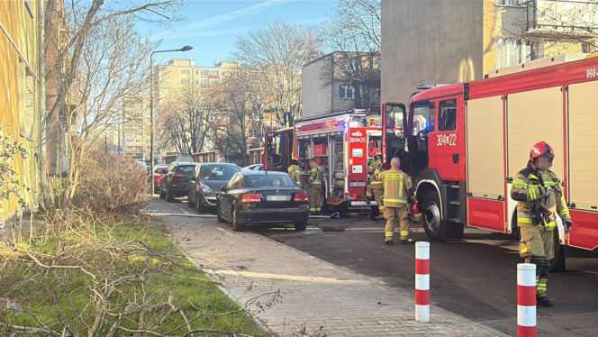 Pożar mieszkania na parterze. Strażacy z ognia wynieśli przerażonego kota