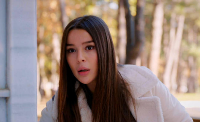 Miłość i nadzieja, odcinek 349. Zeynep