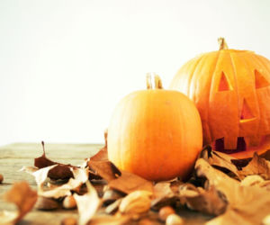 halloween_dynie 4