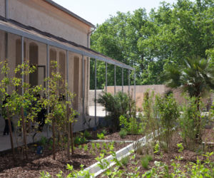 Lot 8_Arles_3