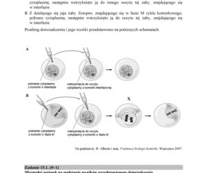 Matura 2018 z biologii. Poziom rozszerzony - arkusze CKE