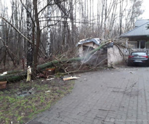 Wichura w Łódzkiem 17.02