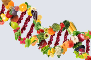 Nutrigenetyka – żywienie zgodne z genami 