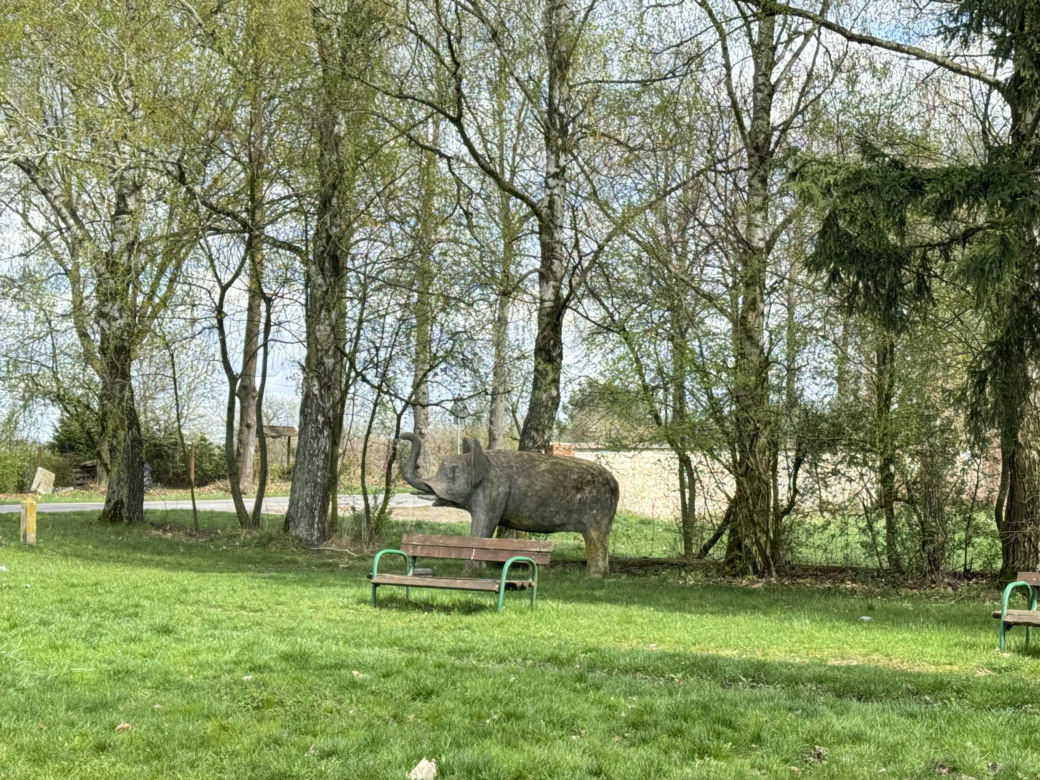 W Łęcznej znajdziecie najdziwniejszych park jurajski w Polsce. Zobacz zdjęcia!