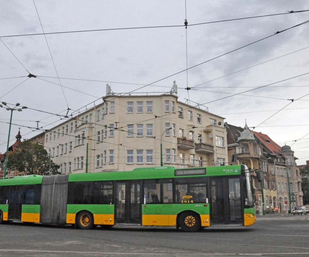 Za tramwaje kursują zastępcze autobusy co pięć minut