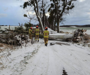 Wichura zniszczyła zabytkową kapliczkę przy sanktuarium