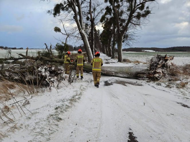 Wichura zniszczyła zabytkową kapliczkę przy sanktuarium