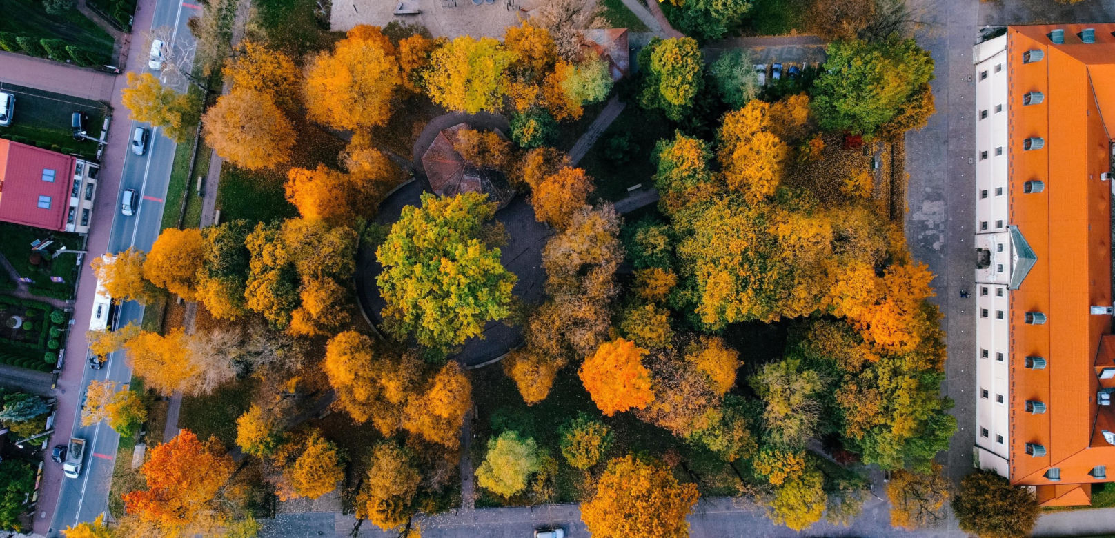 Małopolskie miasto, które przyciąga nowych mieszkańców. Zaludnia się najszybciej w regionie 