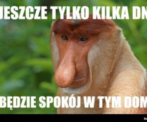 Najlepszy z okazji zakończenia wakacji i początku roku szkolnego!