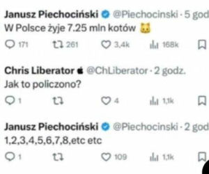 Koty opanowały internet!