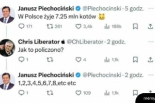 Koty opanowały internet!